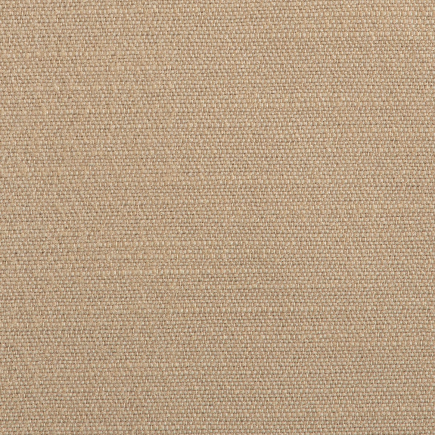 20 x 20 Throw Pillow Premium