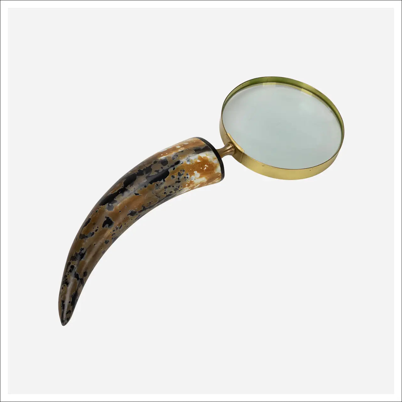 Horn Magnifying Glass