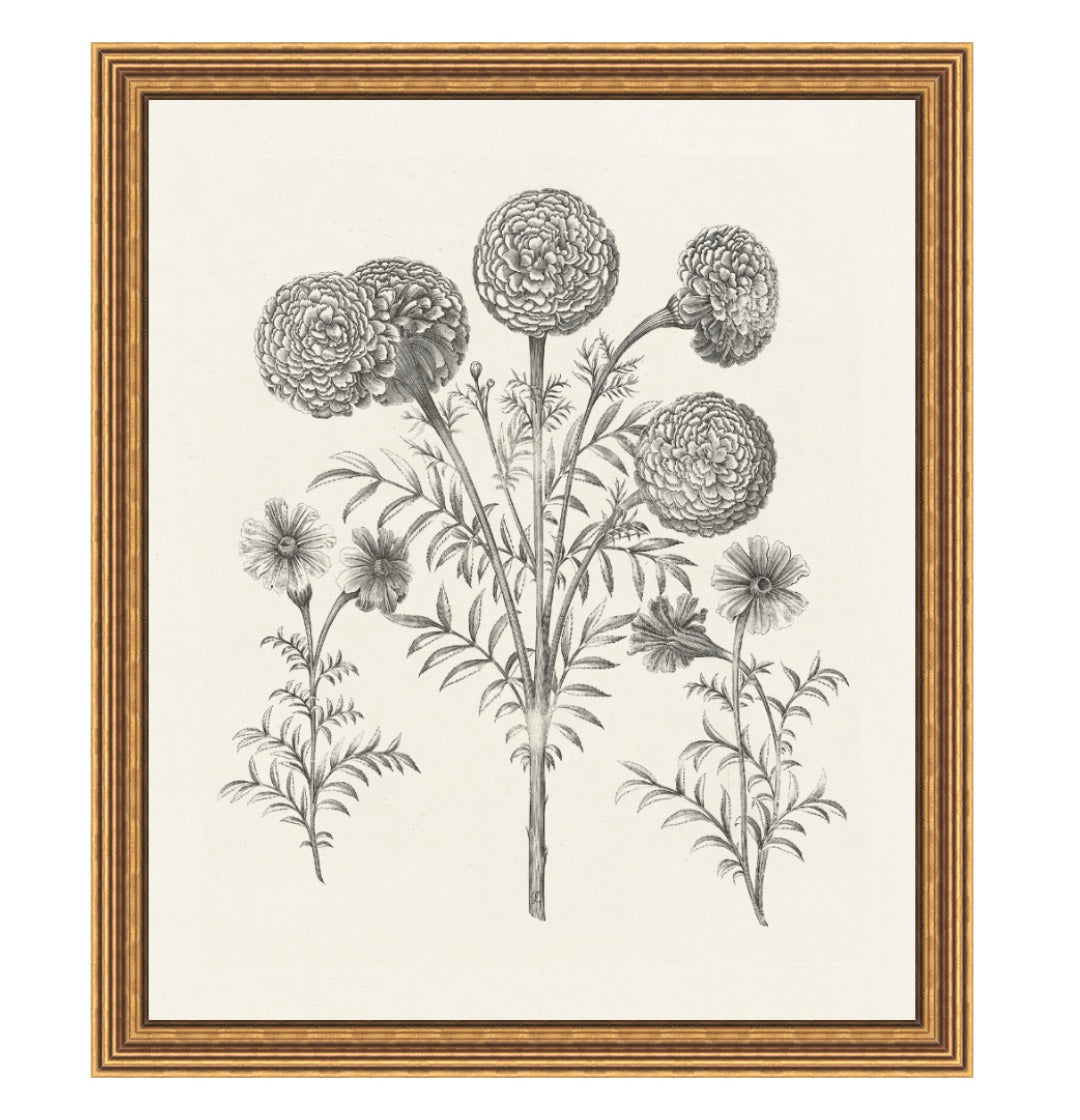 Bessler Study in Neutral 11