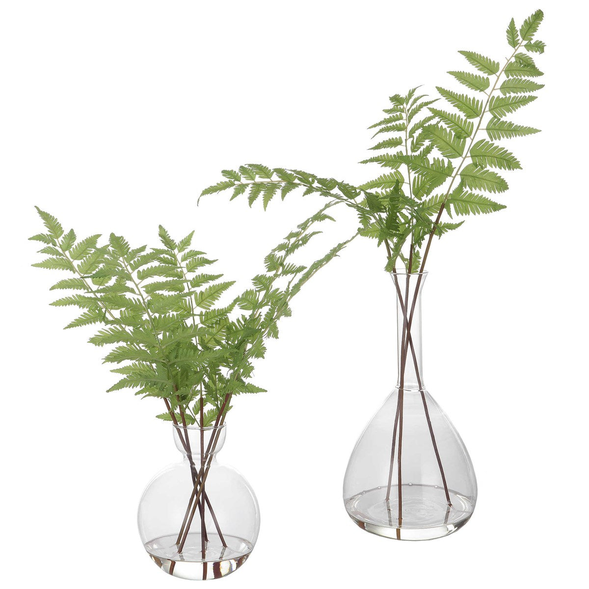 Fern Vase