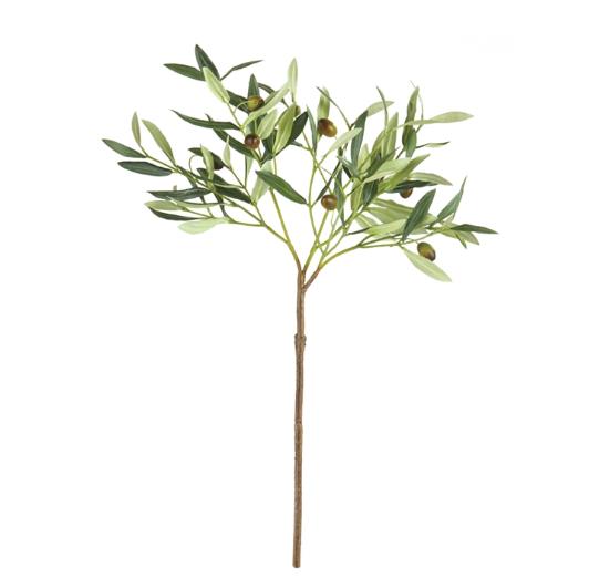 22" Olive Stem