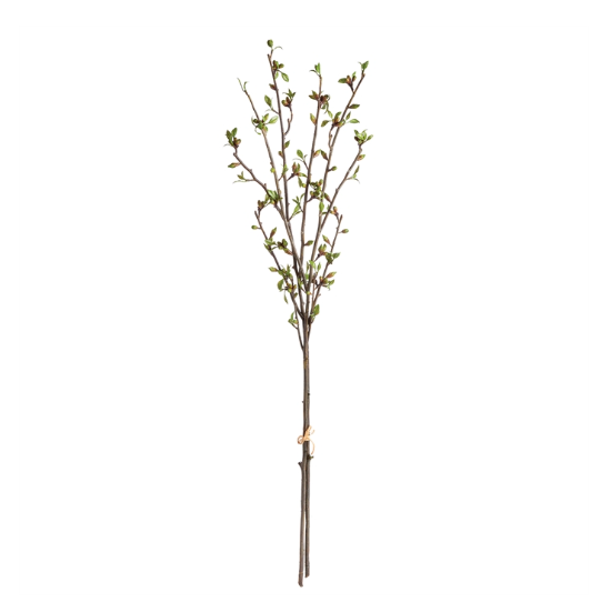 42" Budding Branches