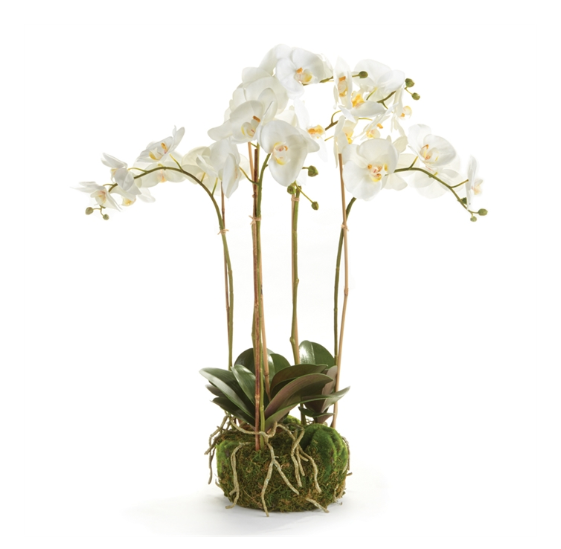 Orchid Bowl Drop In