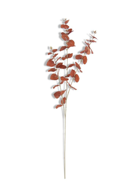 Brown Eucalyptus Spray