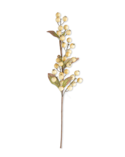 Cream Rosehip Stem