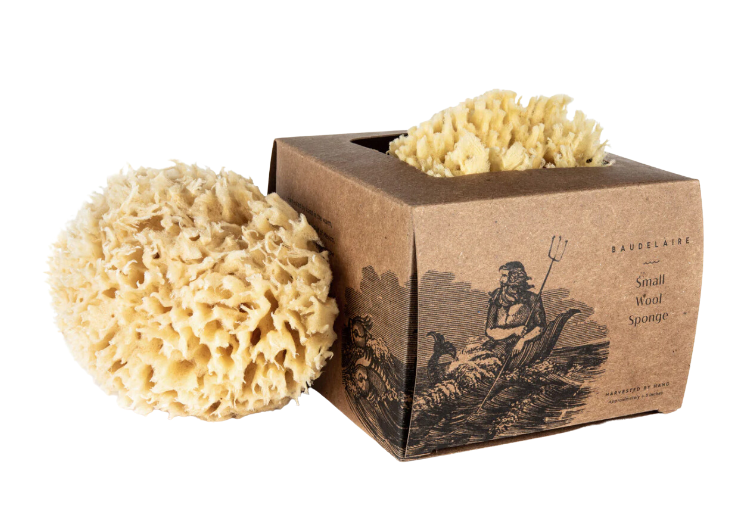 Boxed Wool Sponge Small