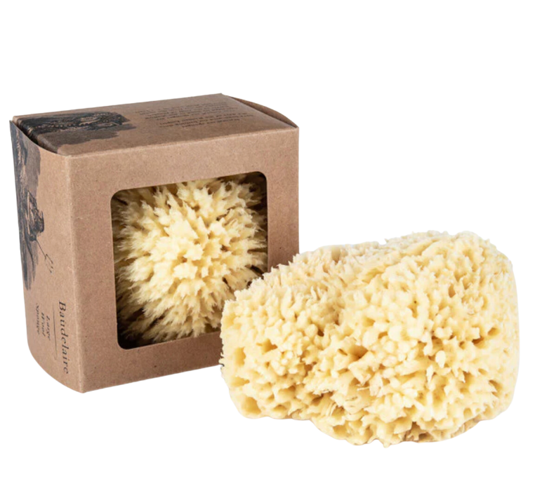 Boxed Wool Sponge Large