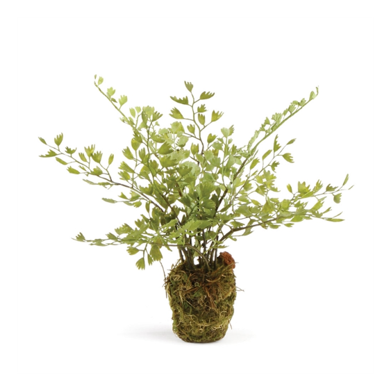 Maidenhair 9" Drop-In