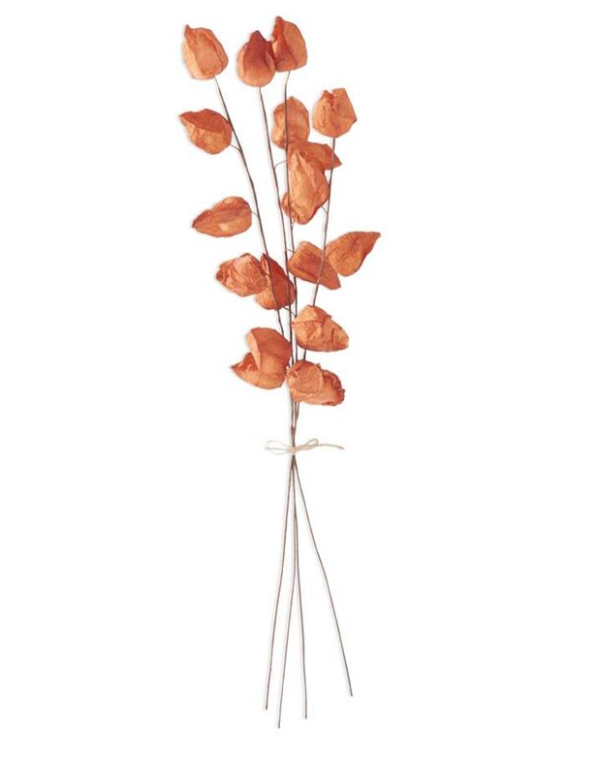 Orange Chinese Lantern Bundle