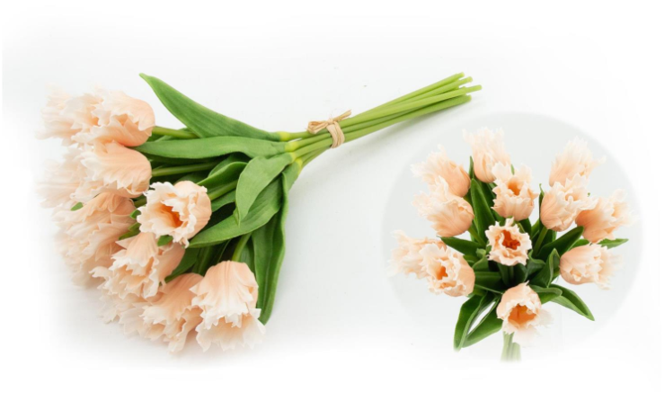 Peach Parrot Tulip Bundle