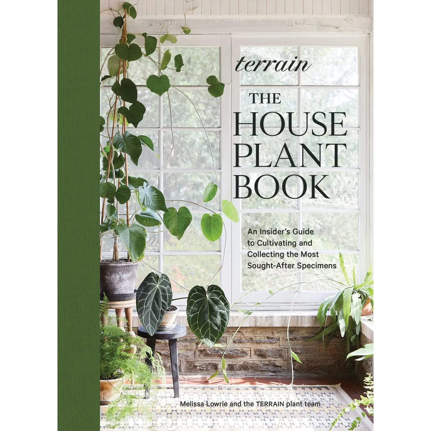 Terrain: the Houseplant Book