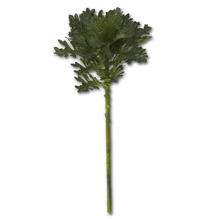 19" Ornamental Cabbage Stem