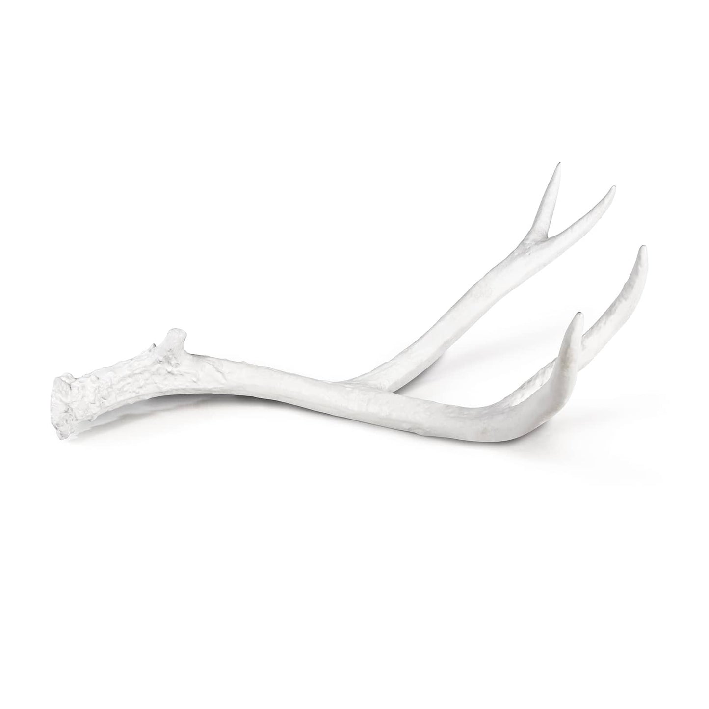 White Antler Decorative Piece