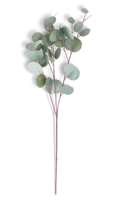 Seeded Eucalyptus
