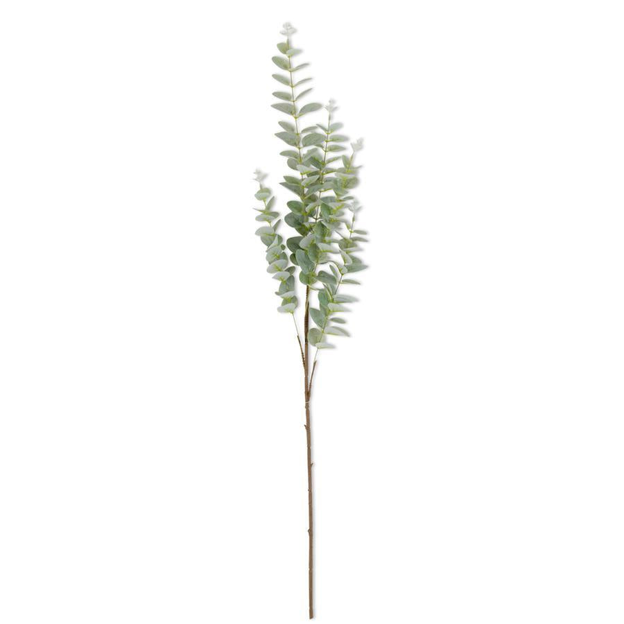 36" Gunnii Eucalyptus Stem