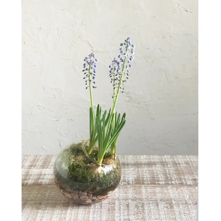 Bulb Vase