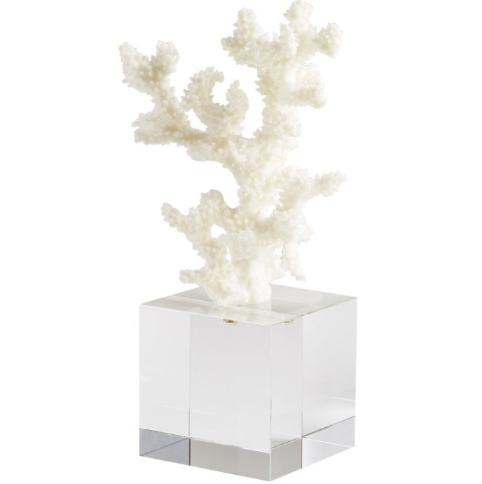 Acrylic + Coral Sculpture