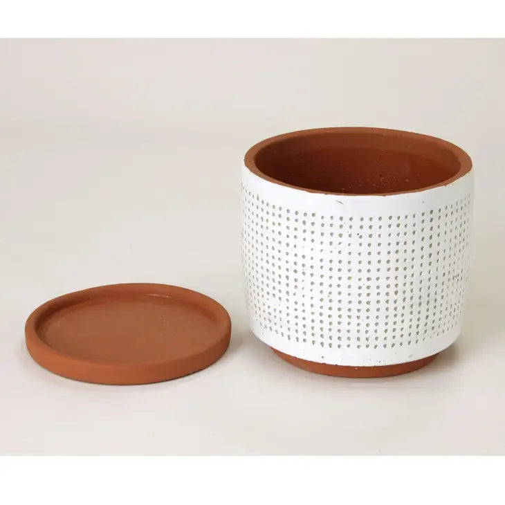 cement planter pots Buy Dot Cement Planter Online