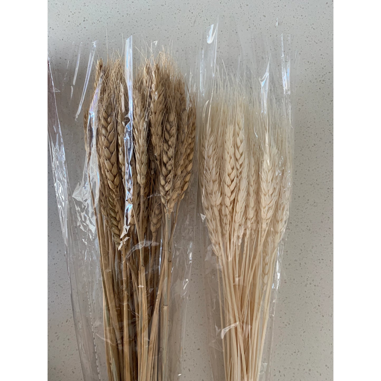 Dried Wheat Grass