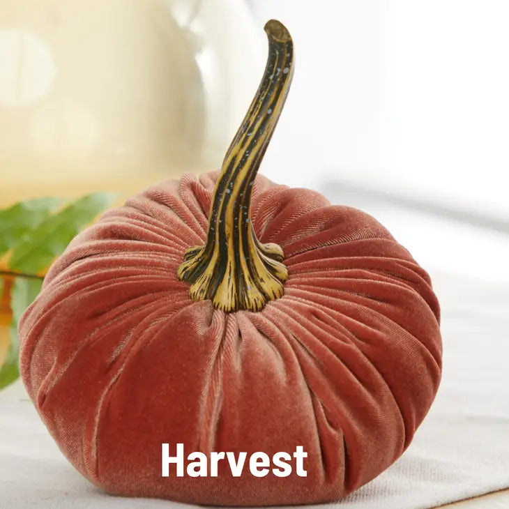 Velvet Pumpkin - Large