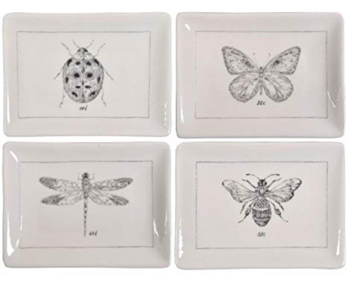 Insect Dish