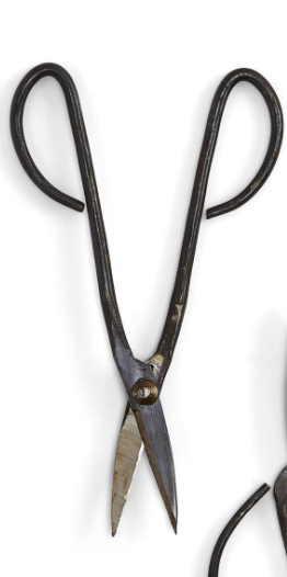 Garden Shears