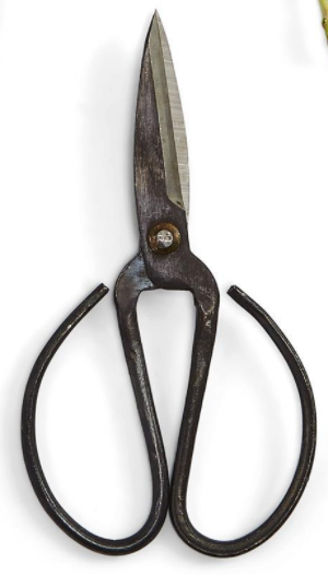 Garden Shears