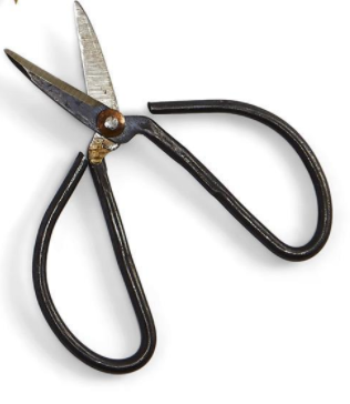 Garden Shears