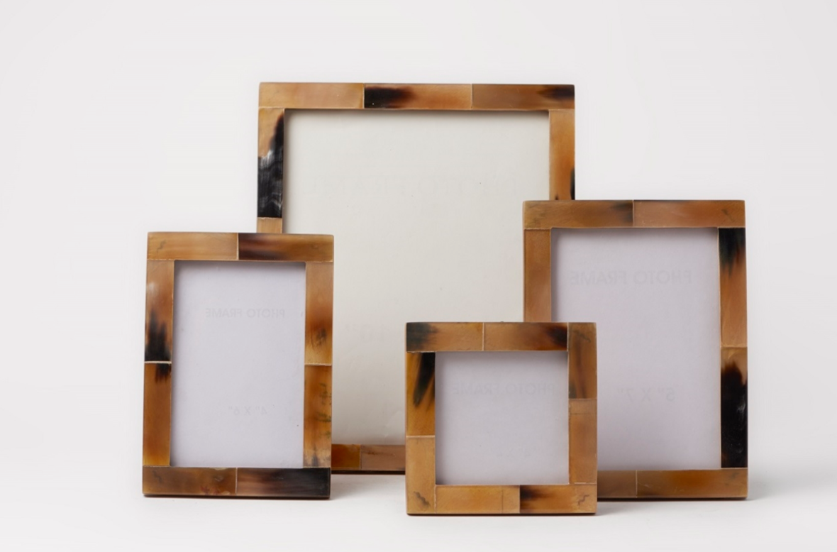 Horn Brace Frame