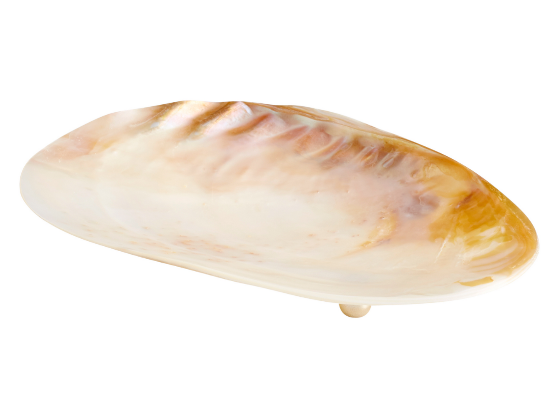 Small Shell Tray