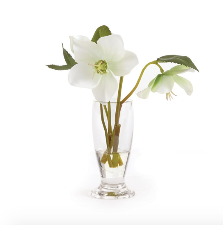 Hellebores Arrangement