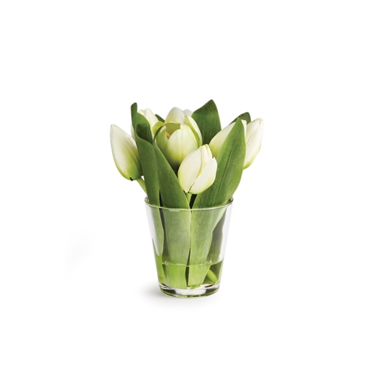 Dutch Tulips