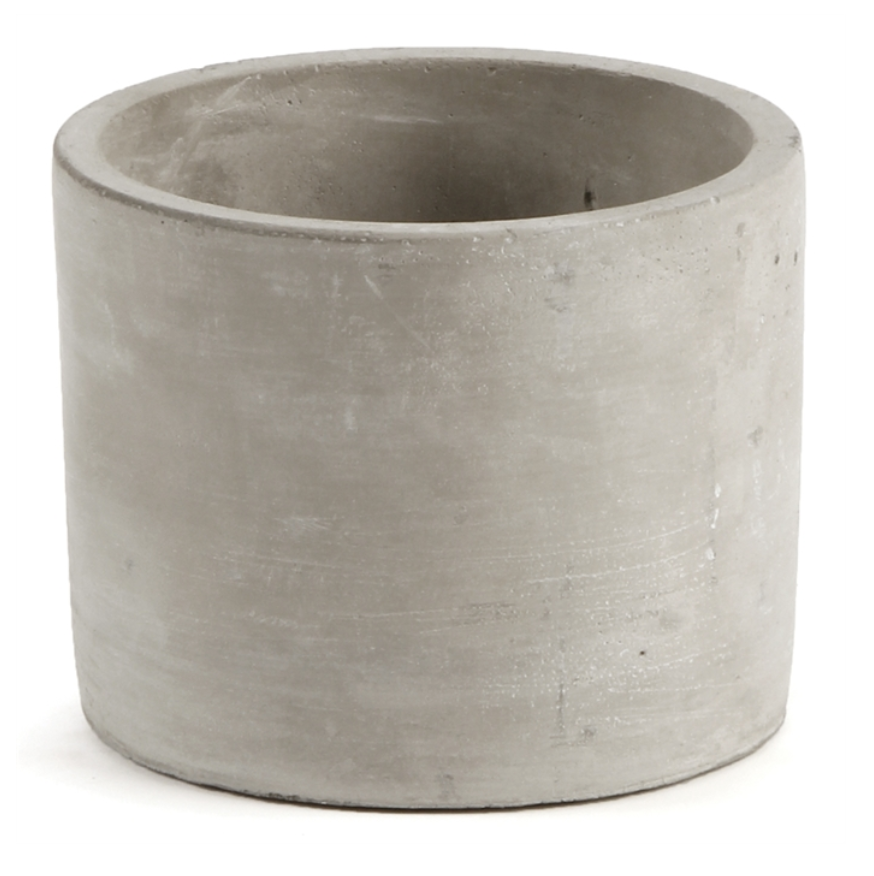 Concrete Pot with Orchid