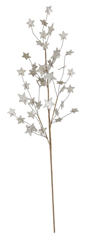 Glitter Star Spray