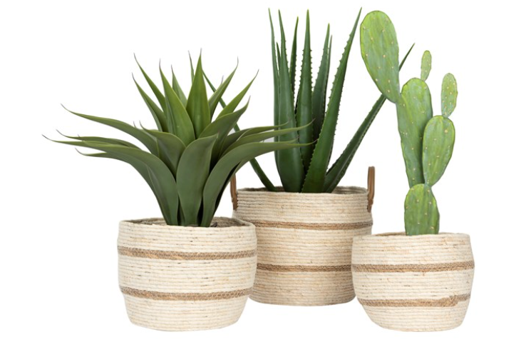 Maize Basket
