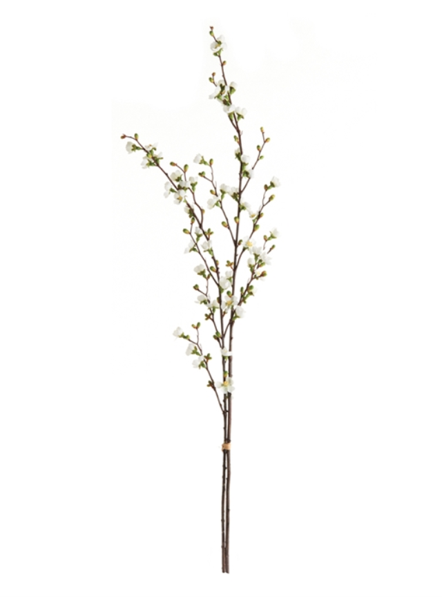 Quince Blossom Branches 48"