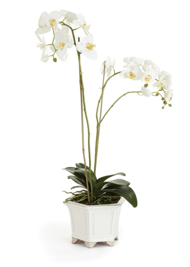 Barclay Butera Phalaenopsis in Ceramic Pot 31"