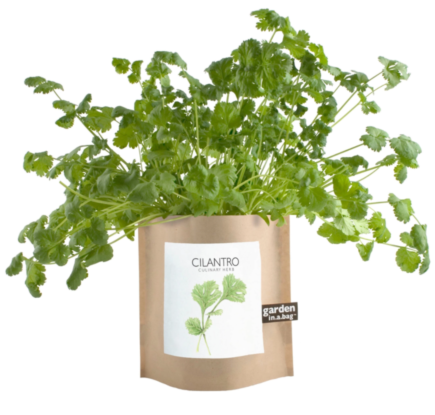 Garden in a Bag