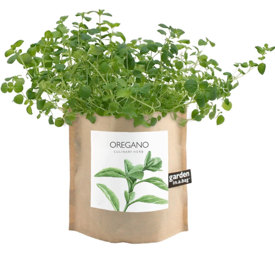 Garden in a Bag
