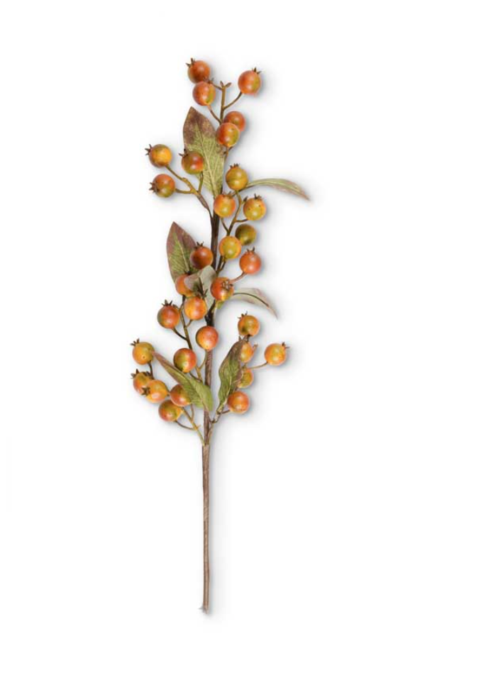 Rosehip Stem