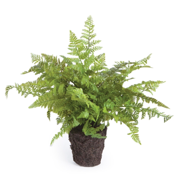 Soft Fern Drop-In