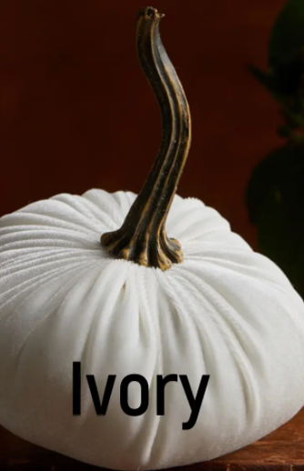 Velvet Pumpkin - Small