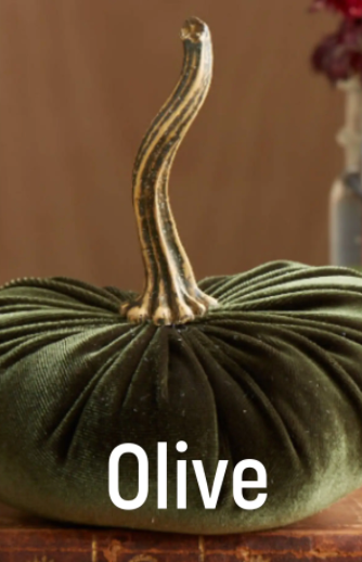 Velvet Pumpkin - Small