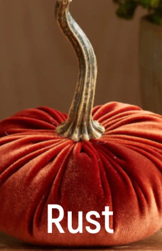 Velvet Pumpkin - Small
