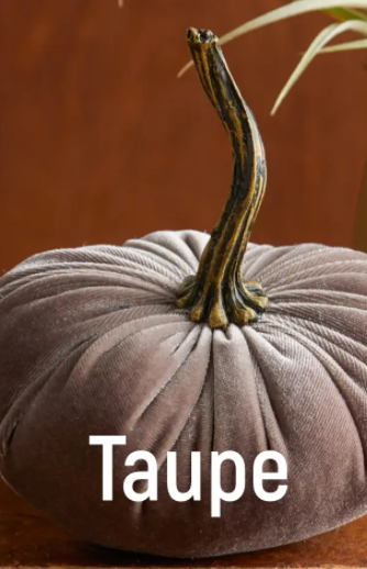 Velvet Pumpkin - Small