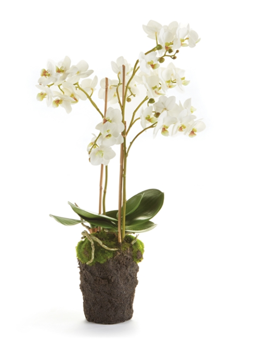 20" orchid Drop-In