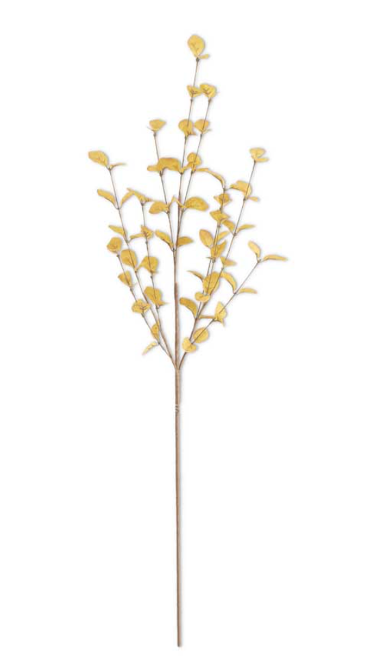 34" Eucalyptus Stem