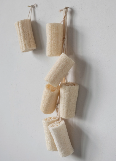 Loofah Brush