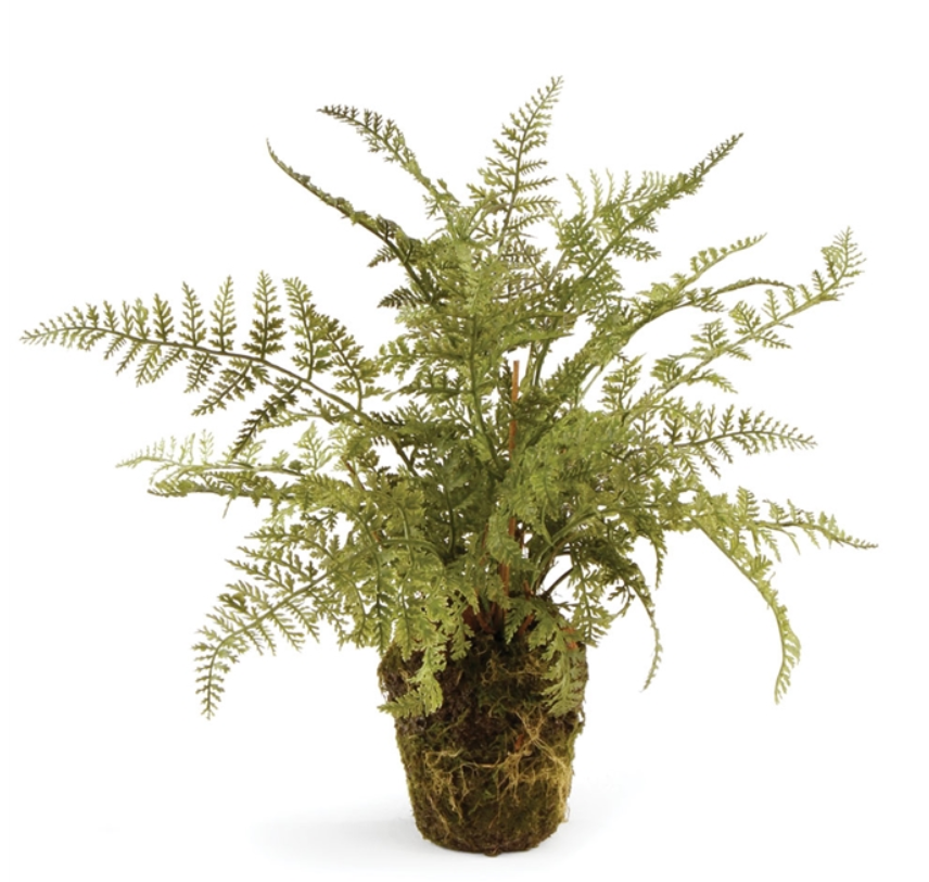 Soft Fern Drop-In 13.5"