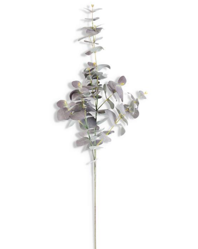 40 Inch Powdered Purple Eucalyptus Spray